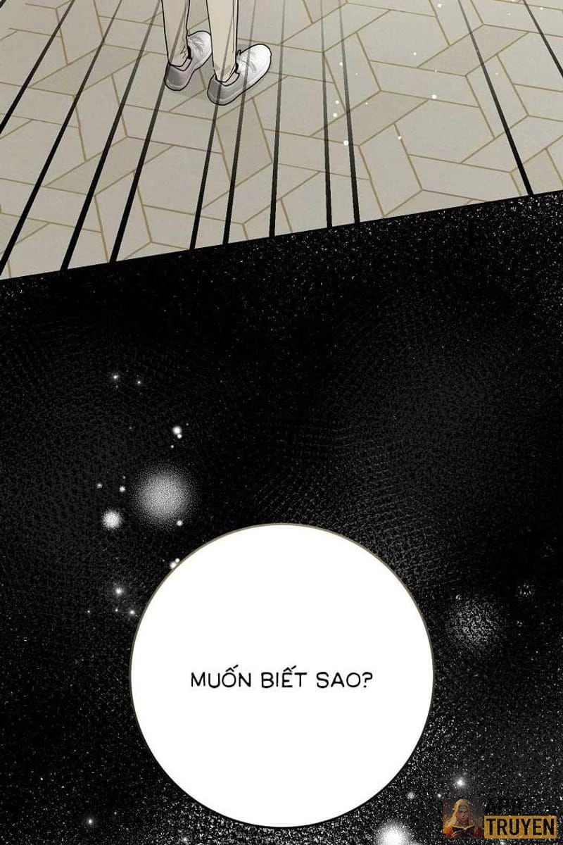 Tân Binh Triệu Đô Chapter 15 - 14