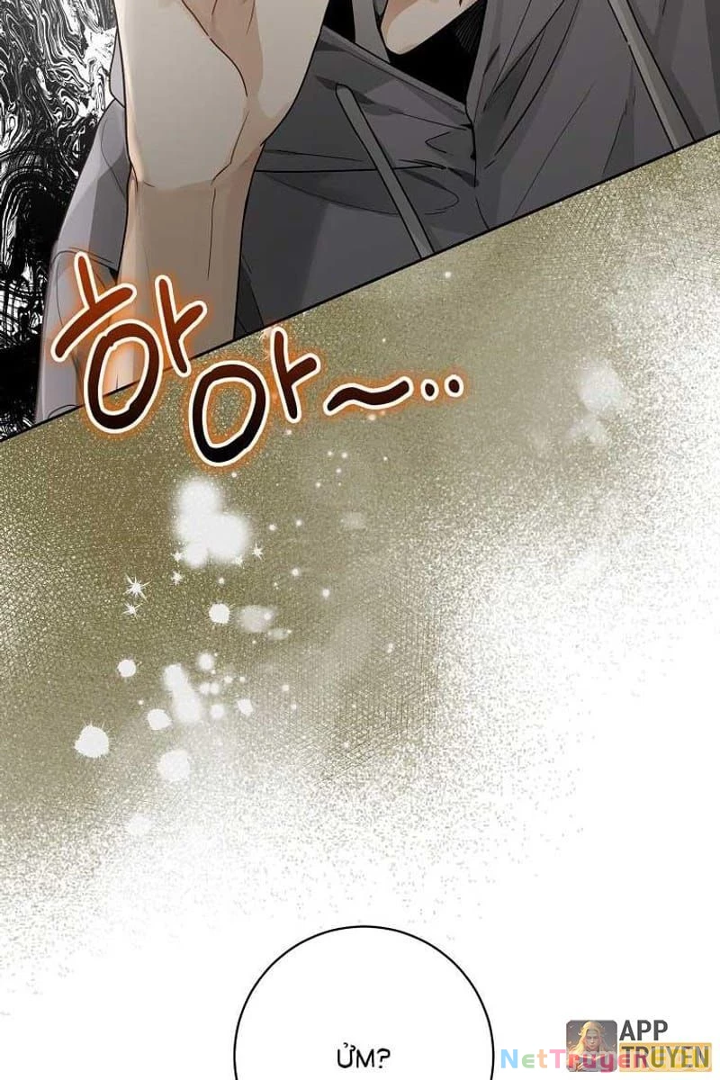 Tân Binh Triệu Đô Chapter 15 - 95