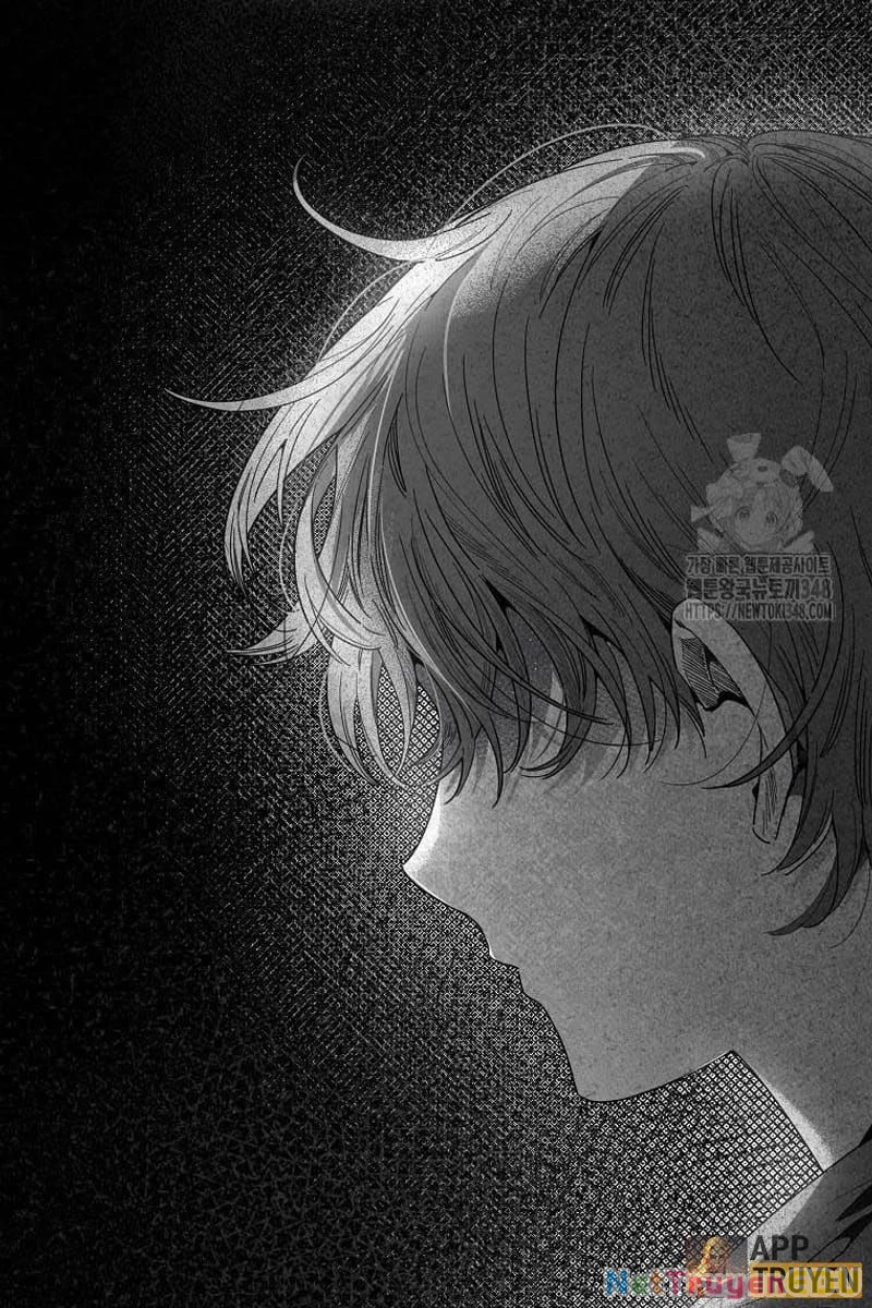 Tân Binh Triệu Đô Chapter 28 - 40