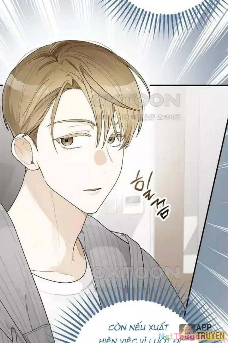 Tân Binh Triệu Đô Chapter 31 - 41
