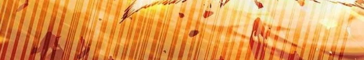 Thực Long Ma Pháp Sư Chapter 77 - 216