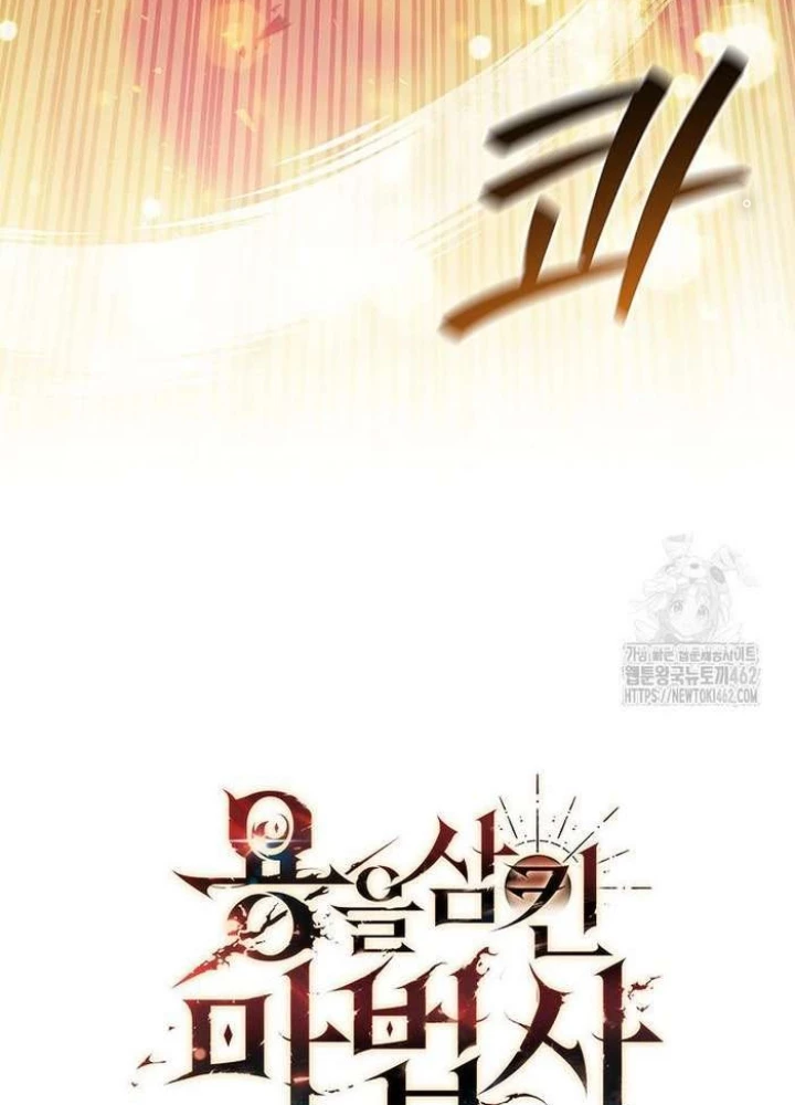 Thực Long Ma Pháp Sư Chapter 77 - 243