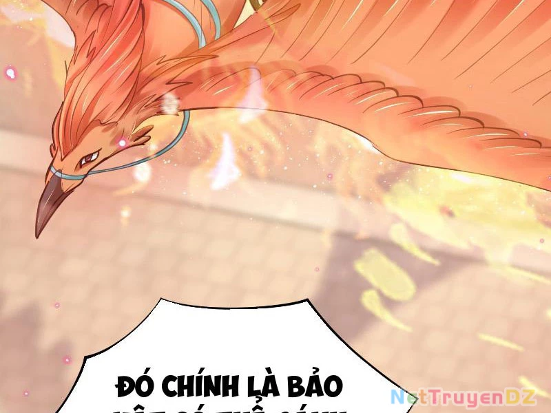 Hệ Thống Hèn Mọn Quỳ Xuống Cầu Xin Ta Vô Địch Chapter 4 - 16