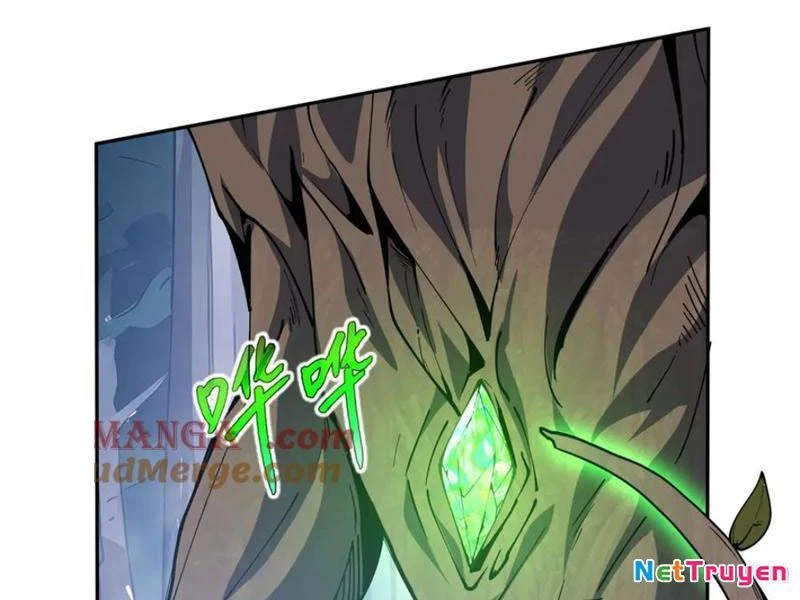 Ta Ký Kết Khế Ước Với Chính Mình Chapter 55 - 176