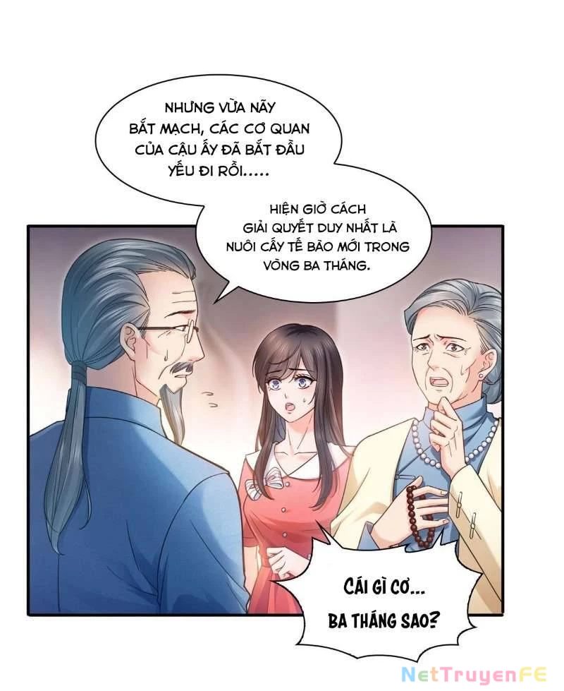 Hệt Như Hàn Quang Gặp Nắng Gắt Chapter 123 - 14