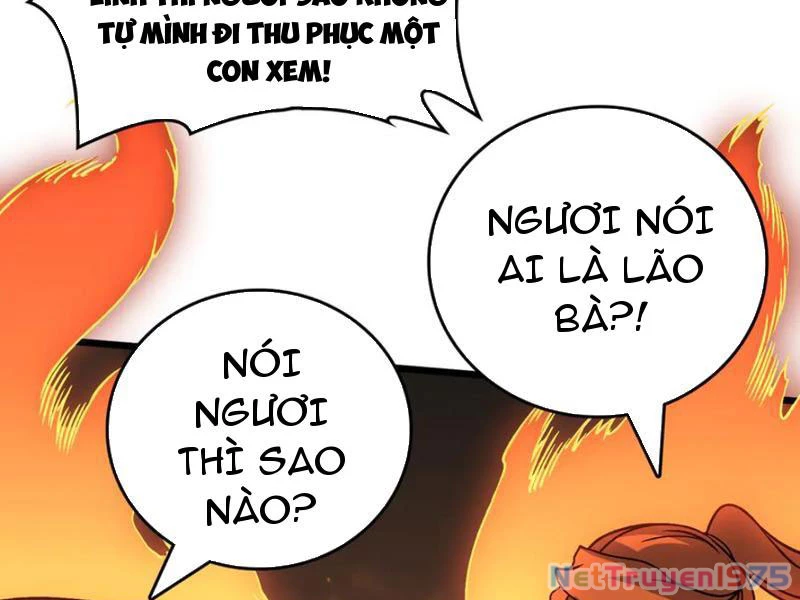 Bắt Đầu Kế Nhiệm Boss Hắc Long, Ta Vô Địch Chapter 39 - 7