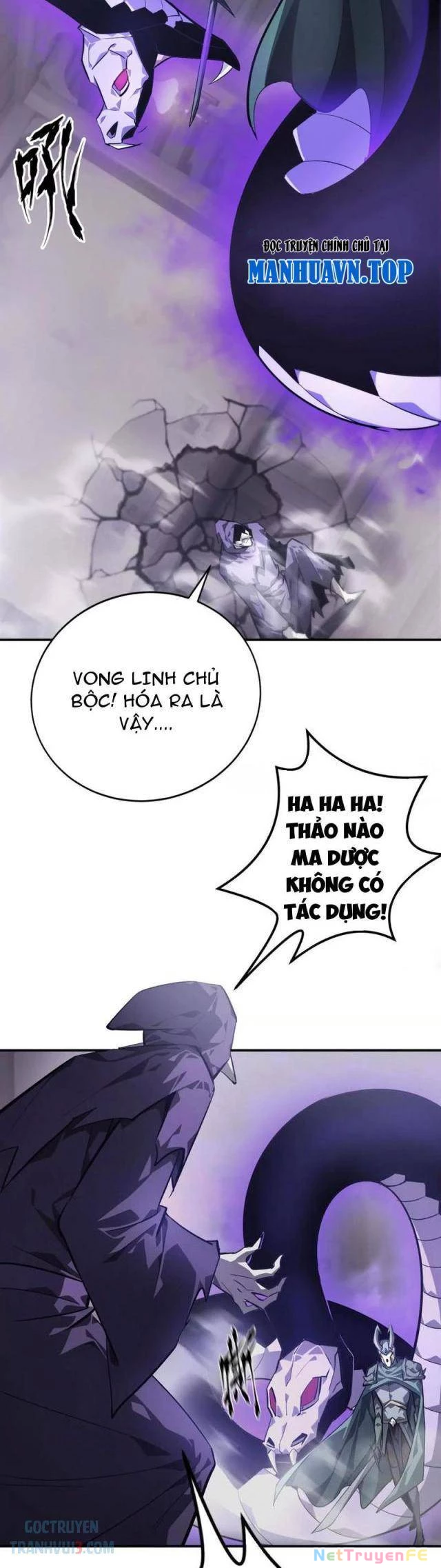 Võng Du Thiên Hạ Vô Song Chapter 45 - 15