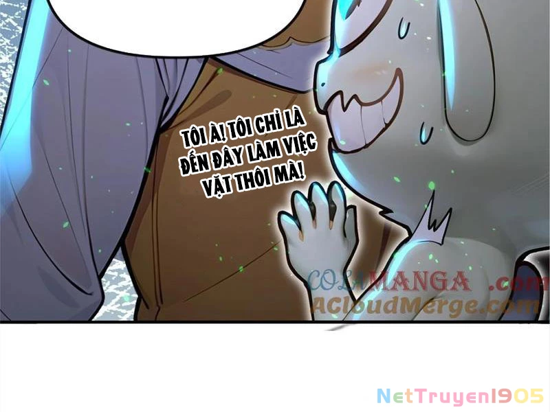 Ta Khiến Trăm Vạn Người Tu Tiên Tức Phát Khóc Chapter  20 - 19