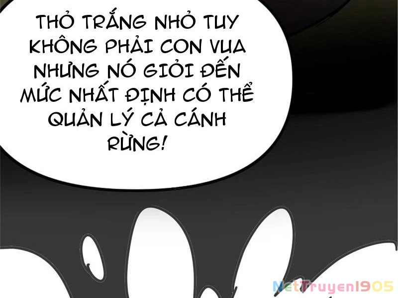 Ta Khiến Trăm Vạn Người Tu Tiên Tức Phát Khóc Chapter  57 - 37