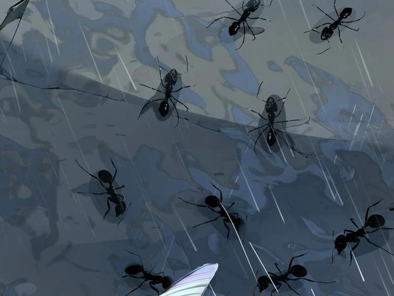 Ta Khiến Trăm Vạn Người Tu Tiên Tức Phát Khóc Chapter  58 - 17