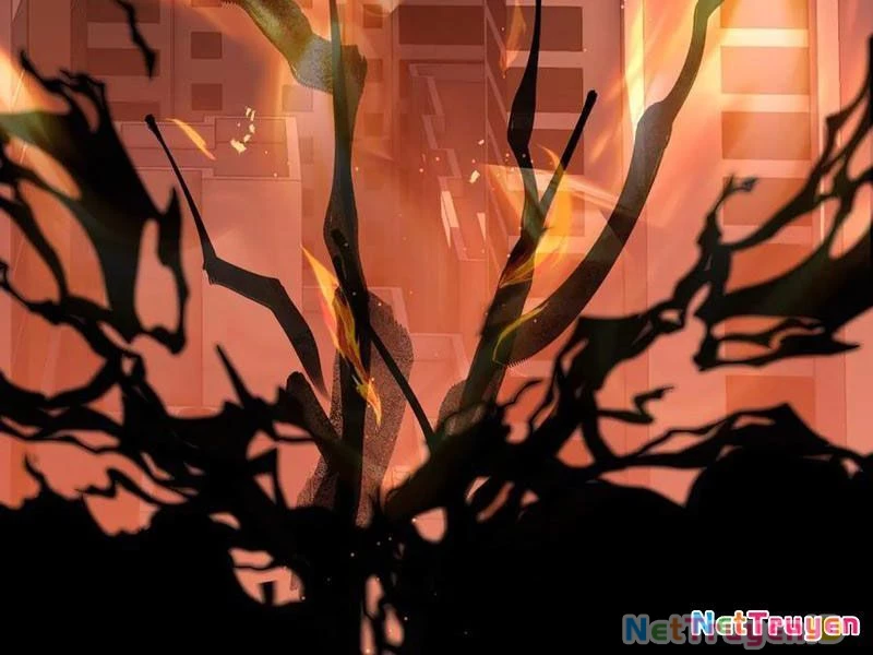 Ta Ký Kết Khế Ước Với Chính Mình Chapter 57 - 106