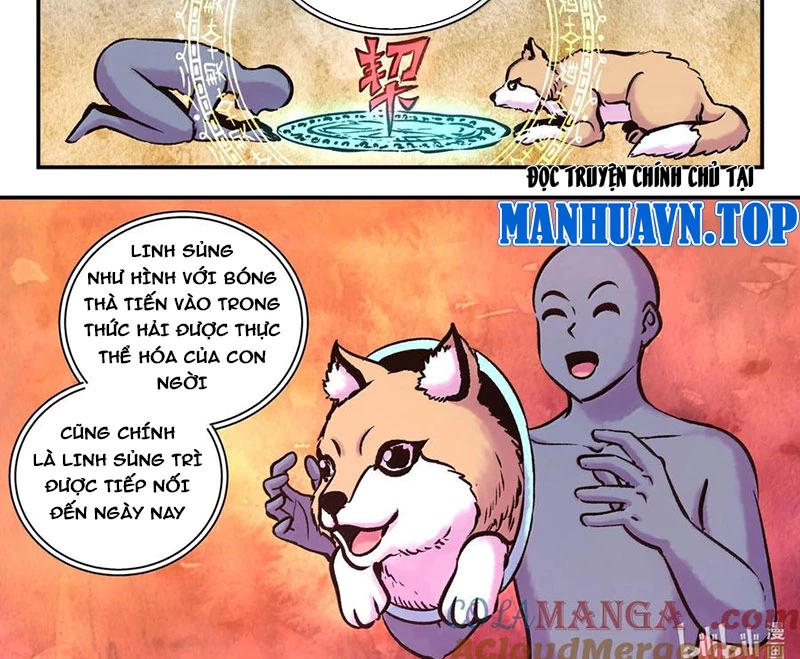 Côn Thôn Thiên Hạ Chapter 314 - 24