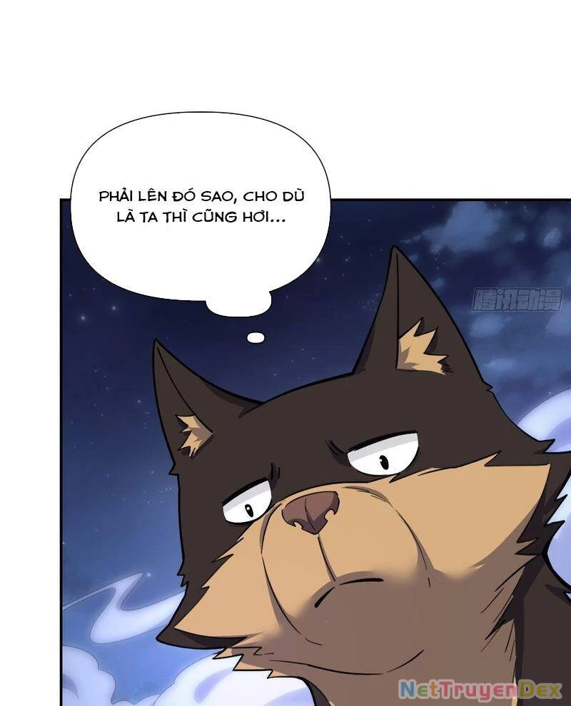 Nguyên Lai Ta Là Tu Tiên Đại Lão Chapter 482 - 20
