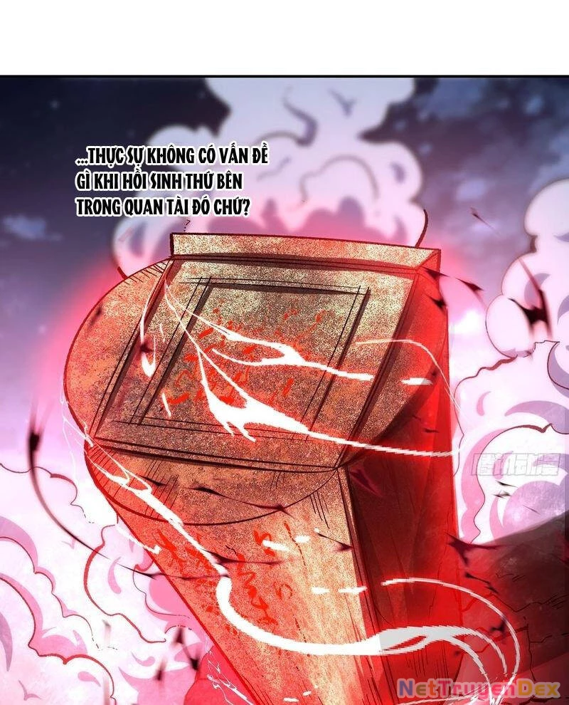Nguyên Lai Ta Là Tu Tiên Đại Lão Chapter 482 - 70