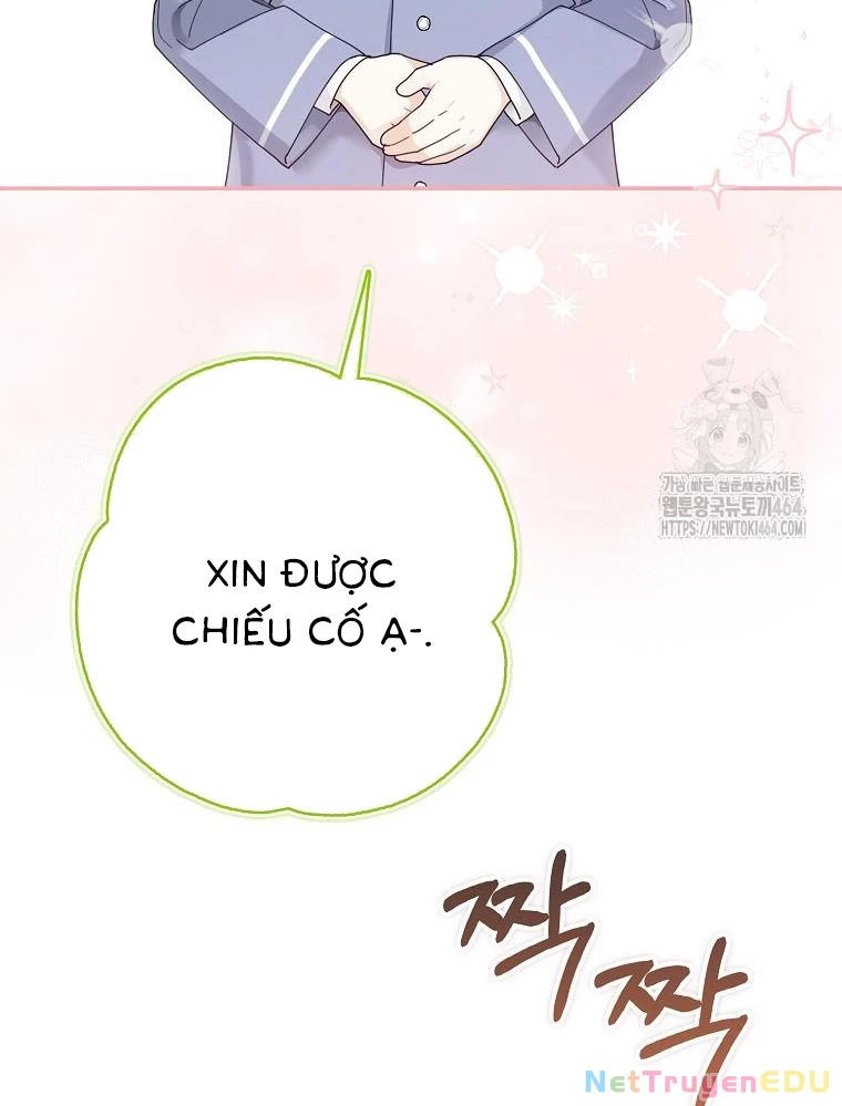 Tân Binh Triệu Đô Chapter 37 - 40