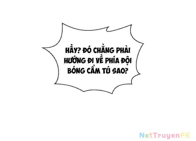 Hệt Như Hàn Quang Gặp Nắng Gắt Chapter 44 - 13