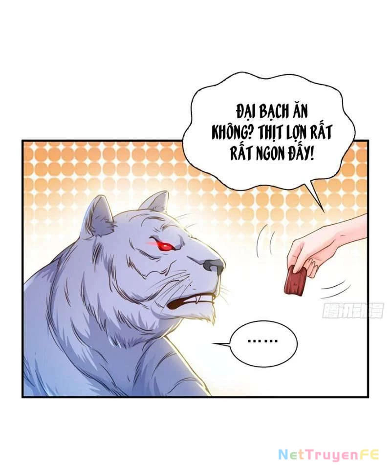 Hệt Như Hàn Quang Gặp Nắng Gắt Chapter 47 - 26