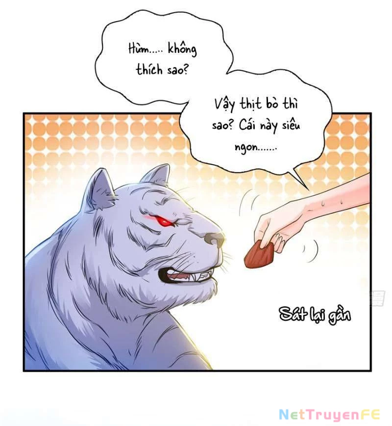 Hệt Như Hàn Quang Gặp Nắng Gắt Chapter 47 - 27