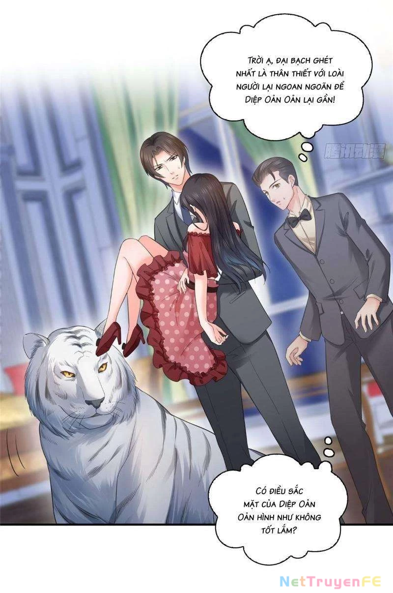 Hệt Như Hàn Quang Gặp Nắng Gắt Chapter 66 - 5