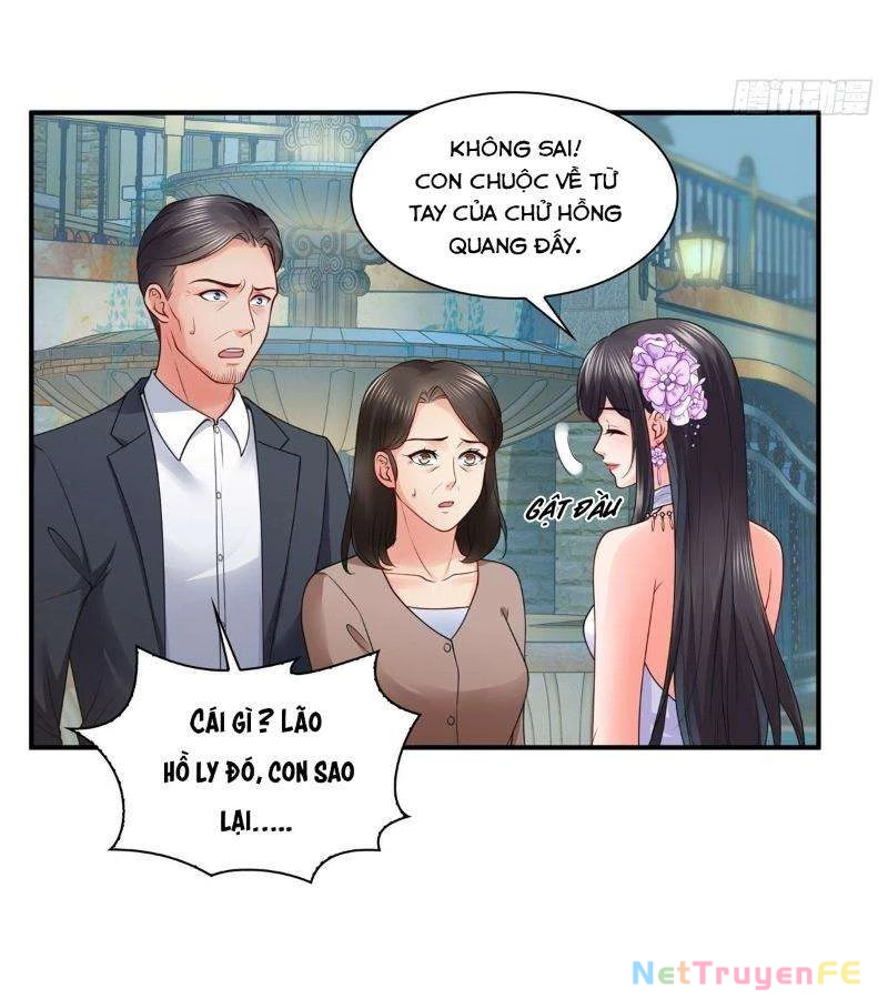 Hệt Như Hàn Quang Gặp Nắng Gắt Chapter 88 - 20