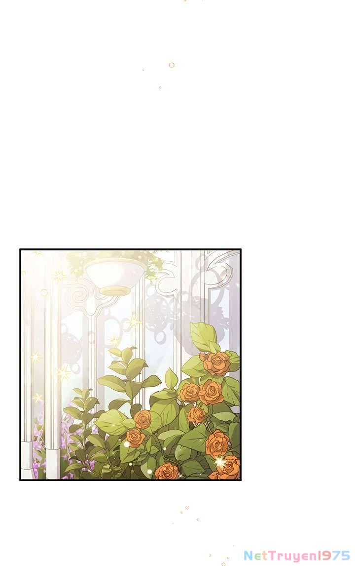 May Mắn Hay Bất Hạnh Chapter 41 - 3