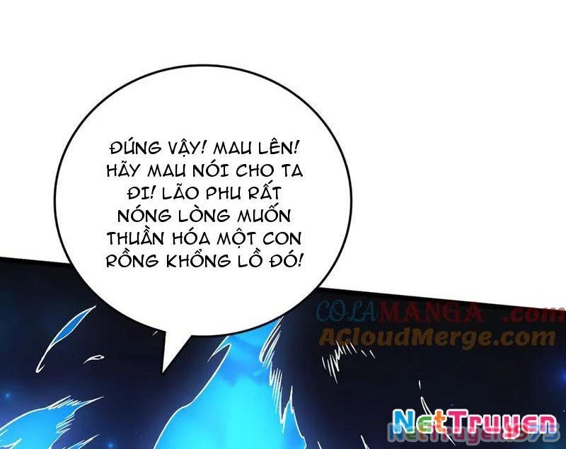 Bắt Đầu Kế Nhiệm Boss Hắc Long, Ta Vô Địch Chapter 40 - 16
