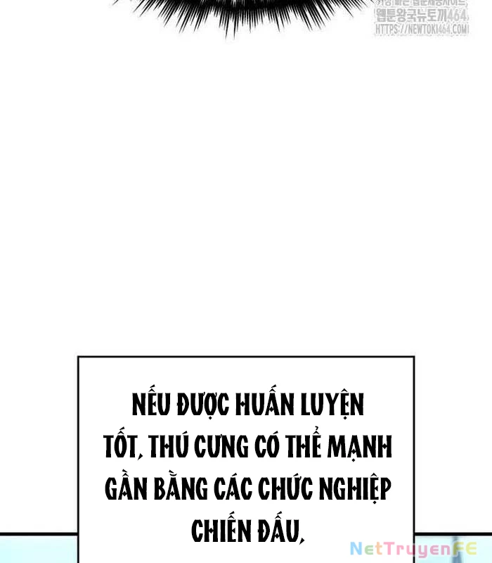 Cuốn Sách Chiến Lược Hàng Đầu Mà Chỉ Tôi Mới Có Thể Nhìn Thấy Chapter 39 - 135