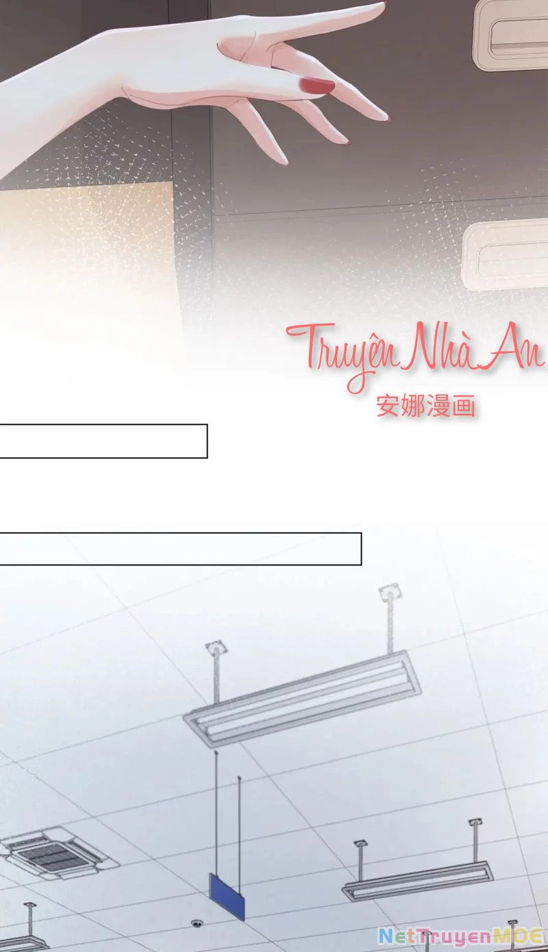 Ta Thân Ái Pháp Y Tiểu Thư Chapter 14 - 29