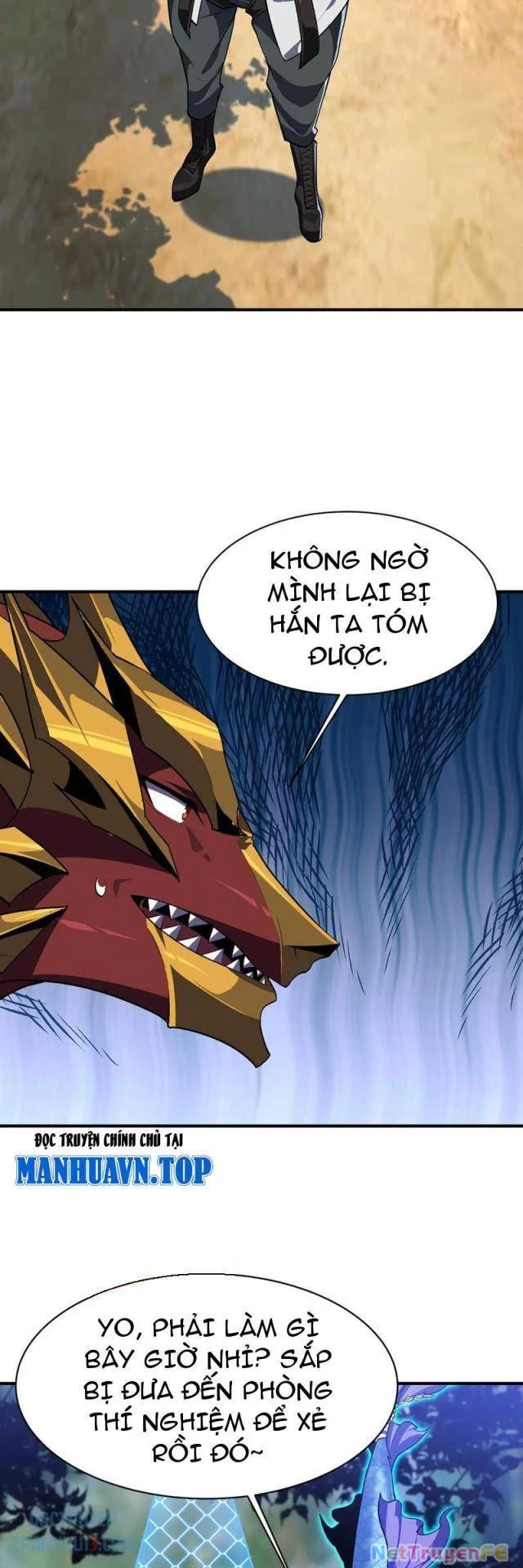 Linh Khí Khôi Phục: Từ Cá Chép Tiến Hóa Thành Thần Long Chapter 22 - 26