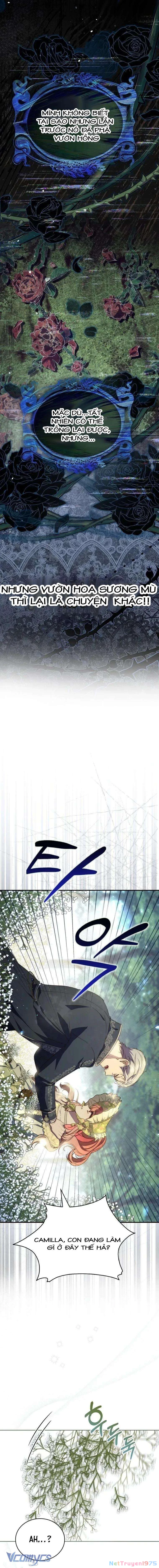 Nàng Công Chúa Tiên Tri Chapter 3 - 17