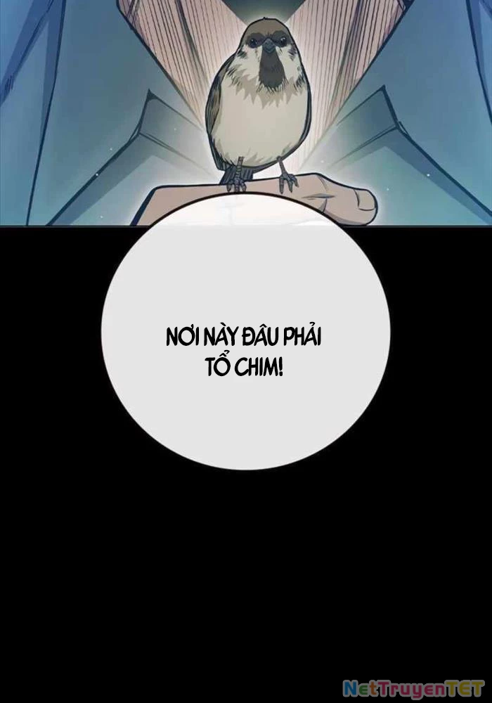 Nhà Tù Vị Thành Niên Chapter 24 - 28