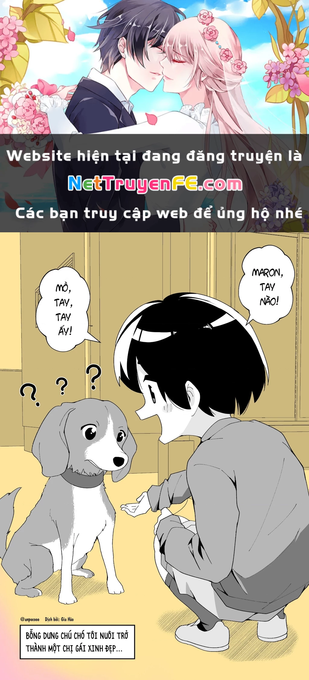 Oneshot Nhưng Lại Là Series Chapter 199 - 1