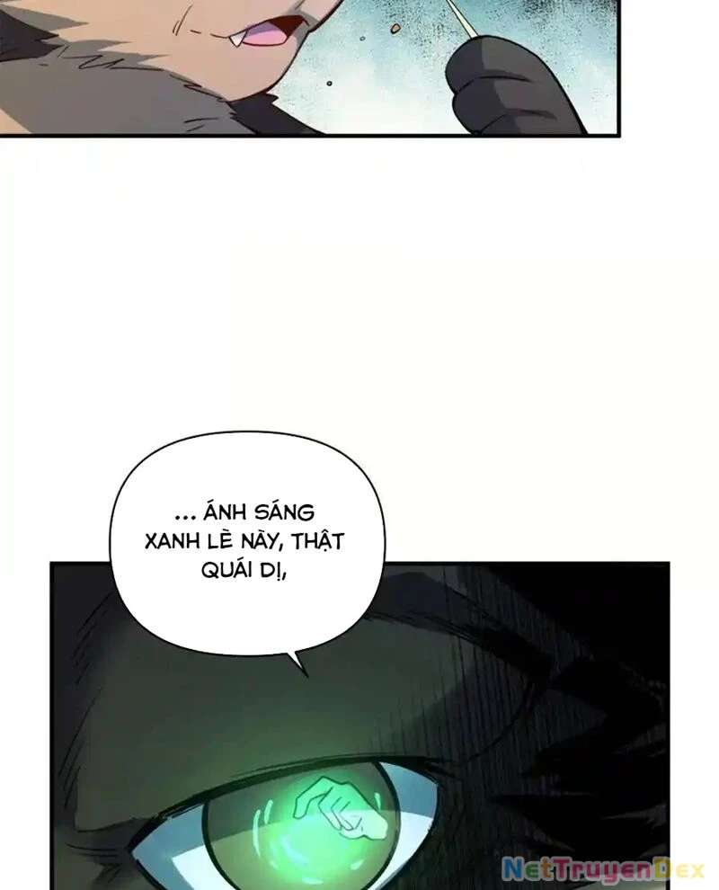 Nguyên Lai Ta Là Tu Tiên Đại Lão Chapter 486 - 62