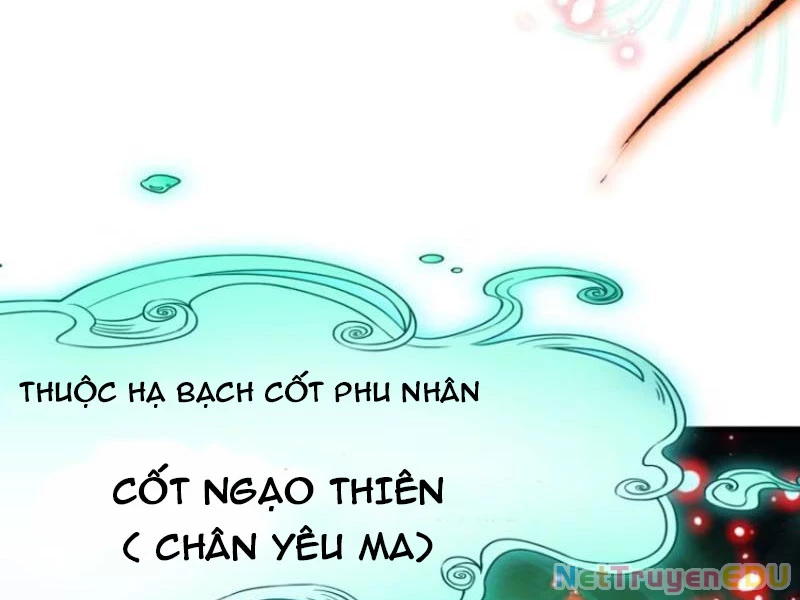 Trụ Vương Tái Sinh Không Muốn Làm Đại Phản Diện Chapter 31 - 96