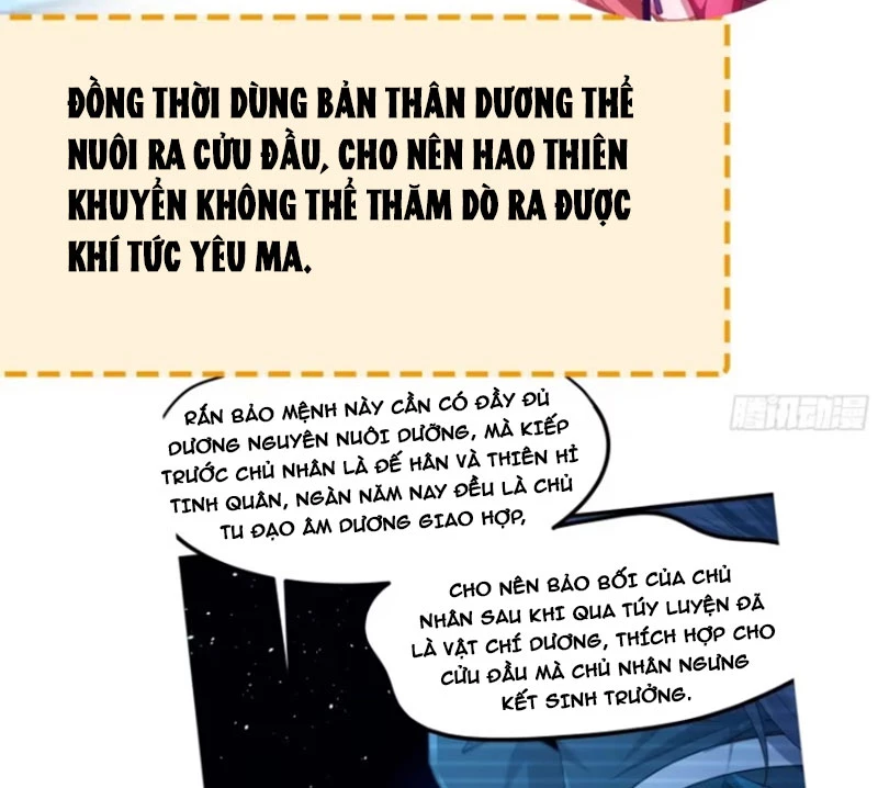 Trụ Vương Tái Sinh Không Muốn Làm Đại Phản Diện Chapter 36 - 58