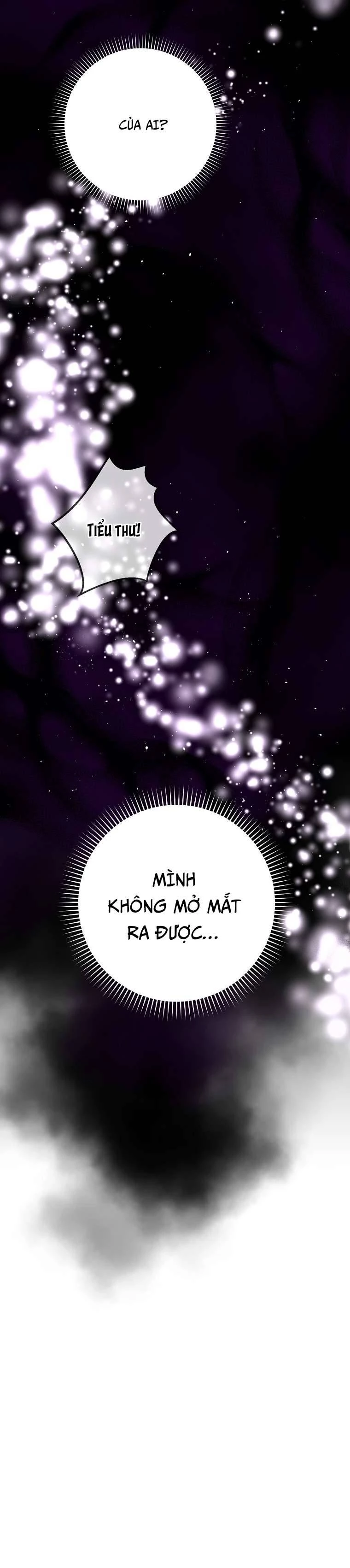 Tôi Trở Thành Vợ Nam Chính Chapter 67 - 24