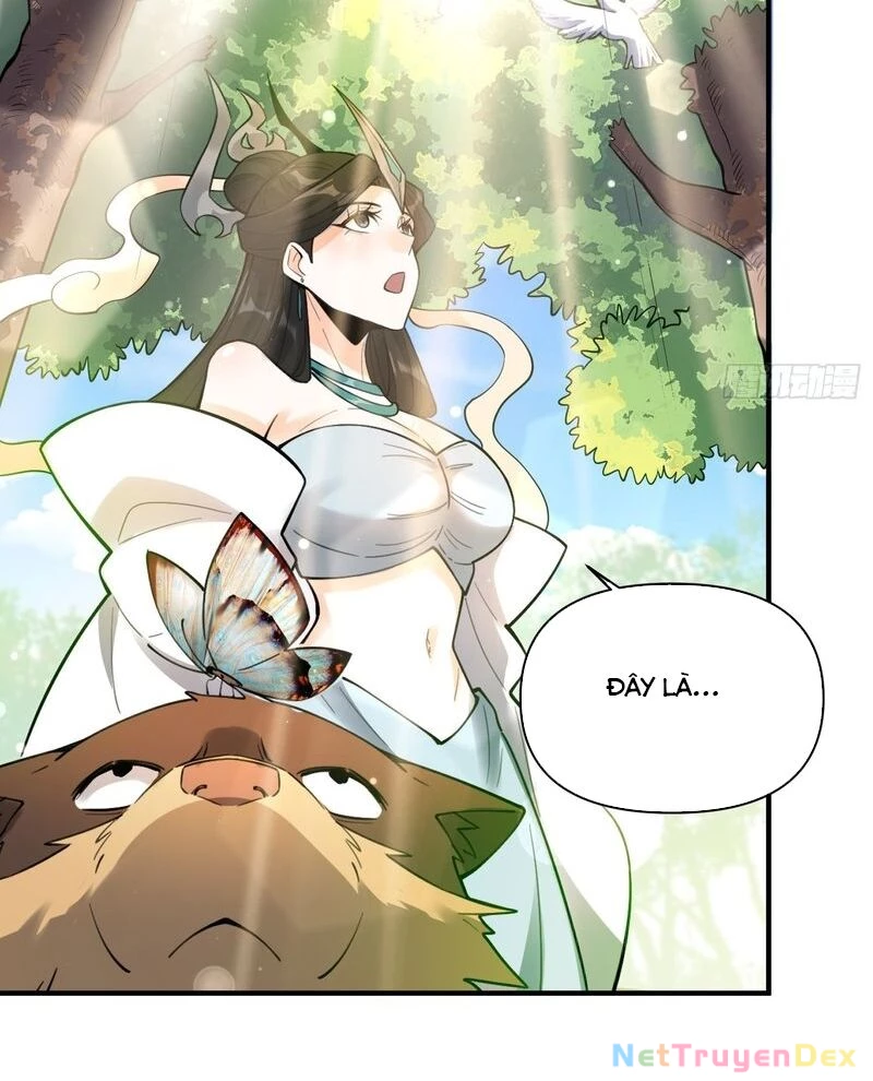 Nguyên Lai Ta Là Tu Tiên Đại Lão Chapter 487 - 47
