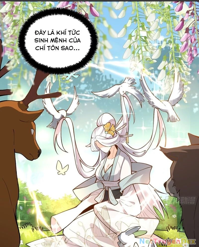Nguyên Lai Ta Là Tu Tiên Đại Lão Chapter 487 - 51