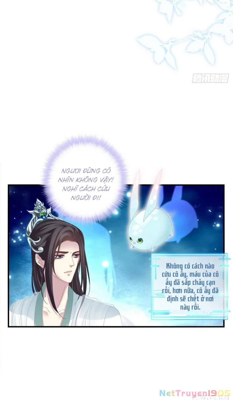 Hắc Hóa Đại Lão Thuần Dưỡng Chỉ Nam Chapter 5 - 14