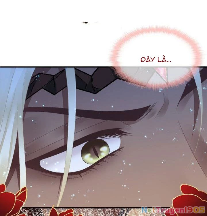 Hắc Hóa Đại Lão Thuần Dưỡng Chỉ Nam Chapter 15 - 9