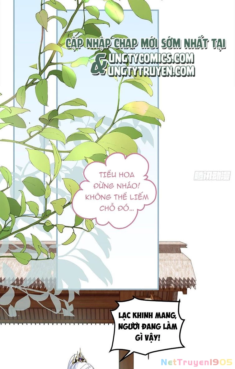 Hắc Hóa Đại Lão Thuần Dưỡng Chỉ Nam Chapter  21 - 8