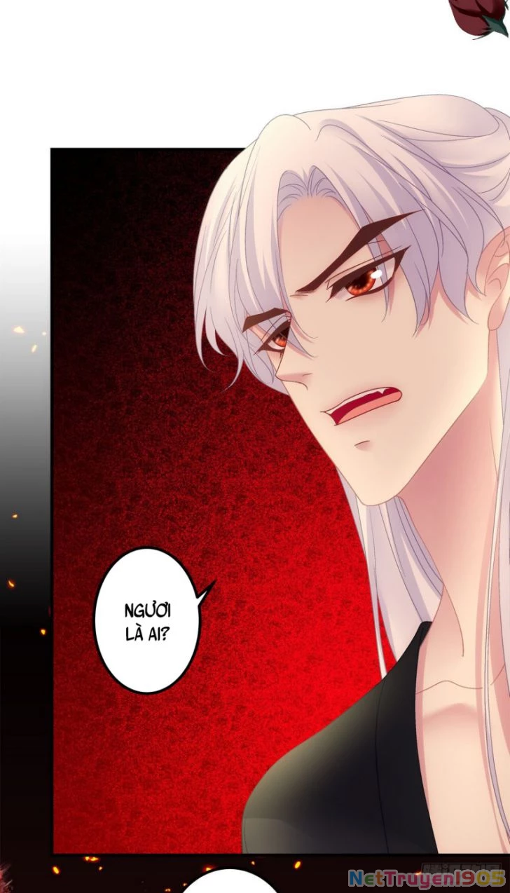 Hắc Hóa Đại Lão Thuần Dưỡng Chỉ Nam Chapter  23 - 3