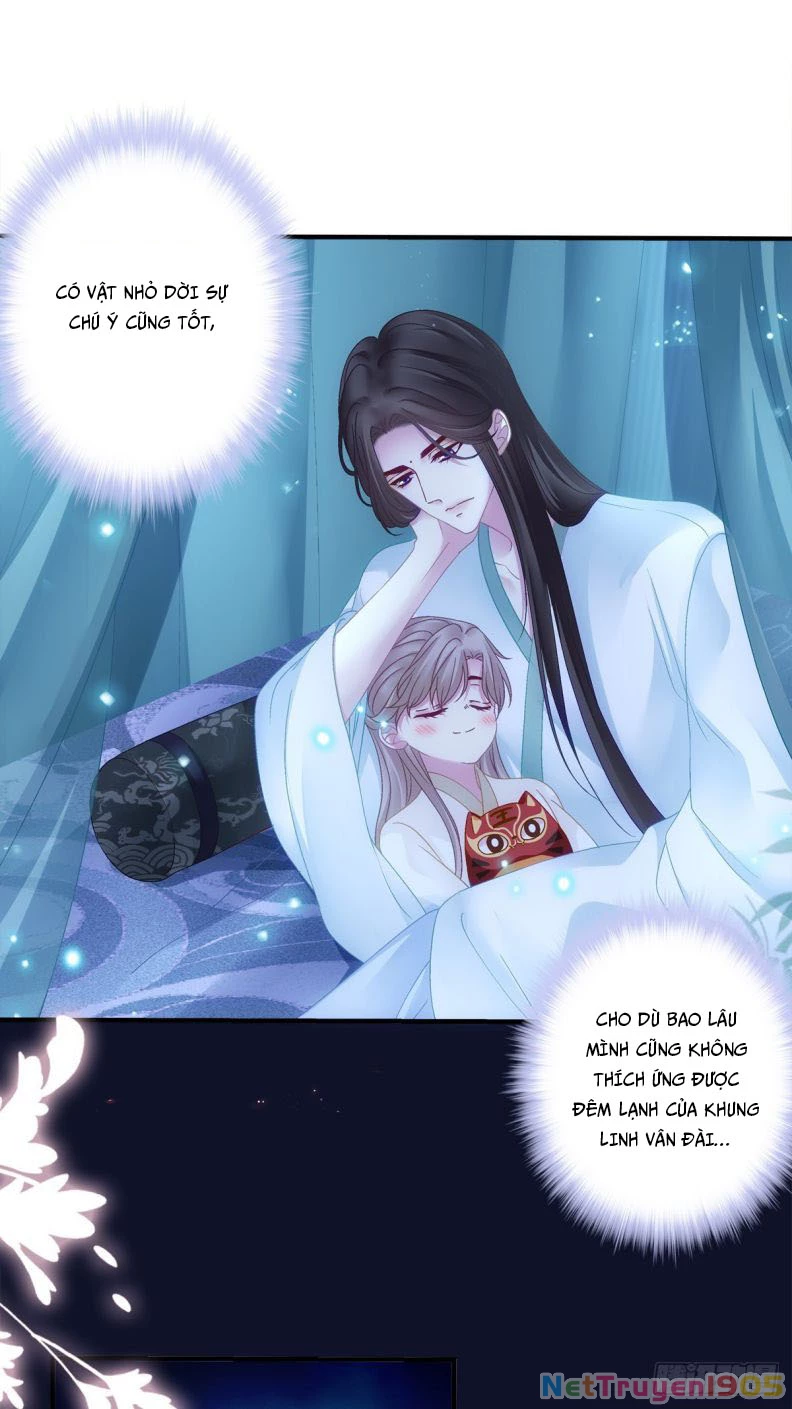 Hắc Hóa Đại Lão Thuần Dưỡng Chỉ Nam Chapter 32 - 11