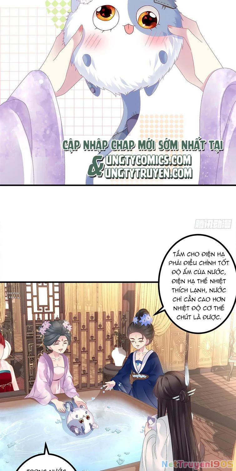 Hắc Hóa Đại Lão Thuần Dưỡng Chỉ Nam Chapter 38 - 9
