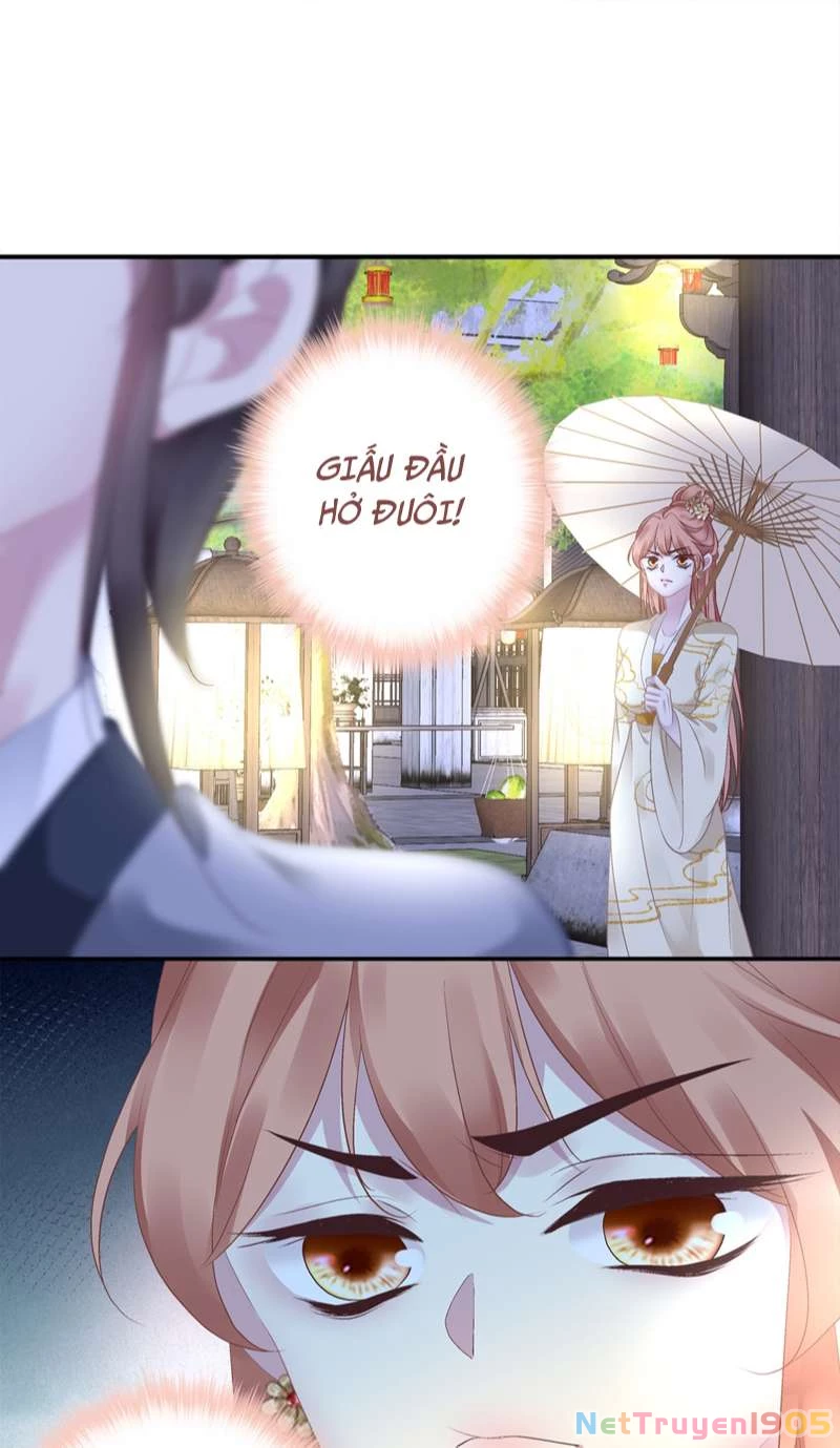 Hắc Hóa Đại Lão Thuần Dưỡng Chỉ Nam Chapter  65 - 14