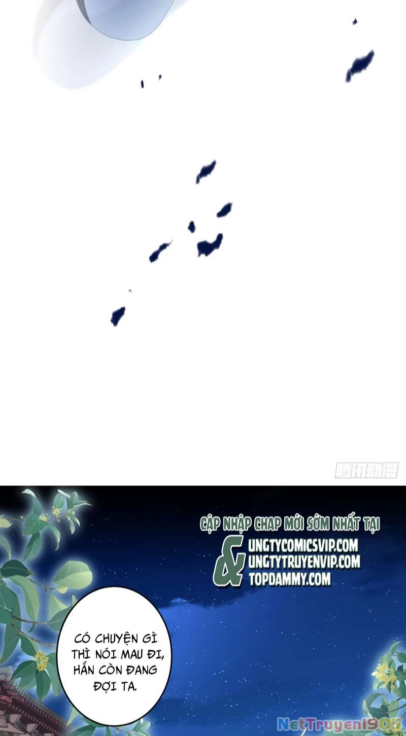 Hắc Hóa Đại Lão Thuần Dưỡng Chỉ Nam Chapter  67 - 5