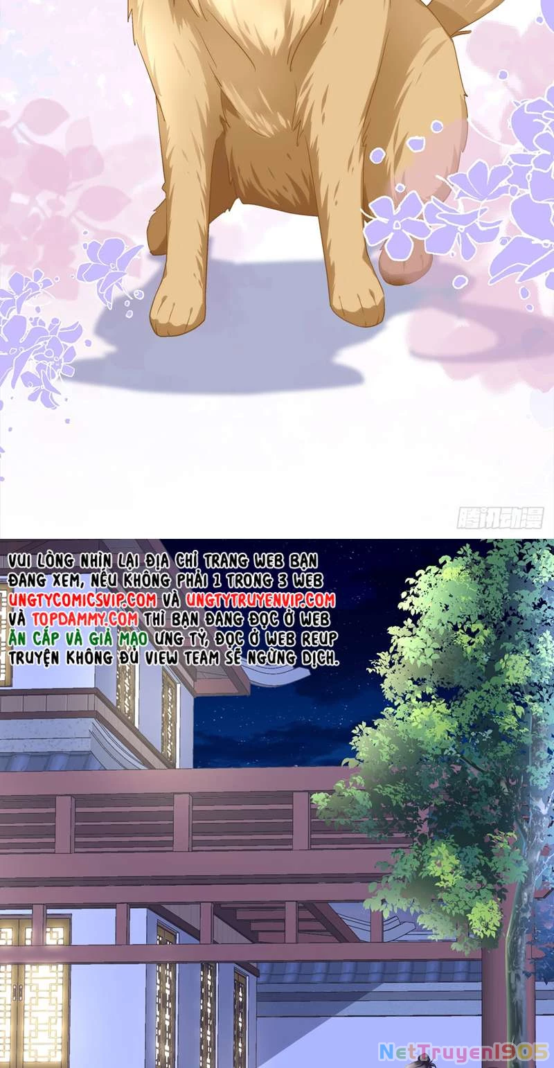 Hắc Hóa Đại Lão Thuần Dưỡng Chỉ Nam Chapter  74 - 33
