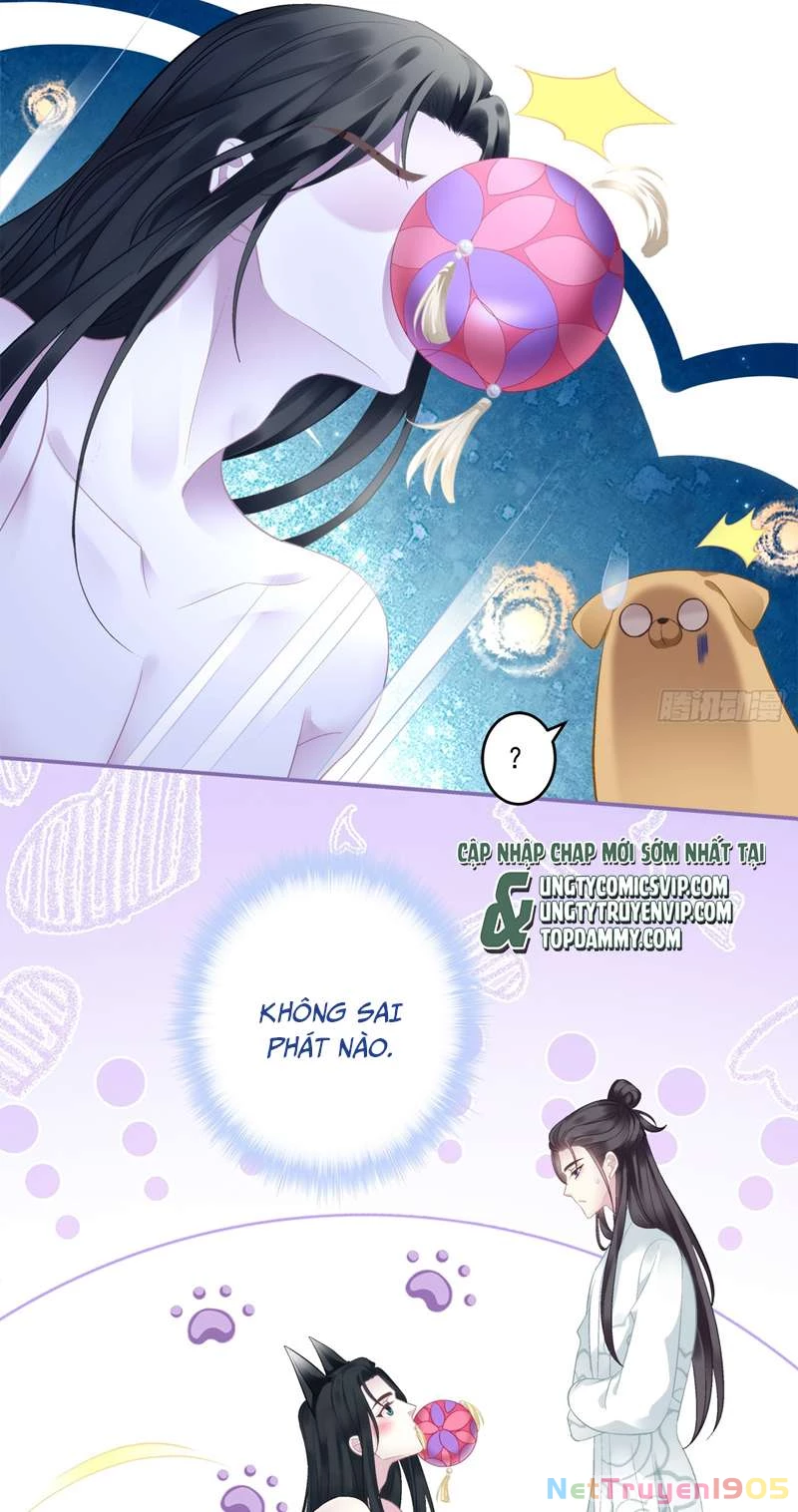 Hắc Hóa Đại Lão Thuần Dưỡng Chỉ Nam Chapter  74 - 35