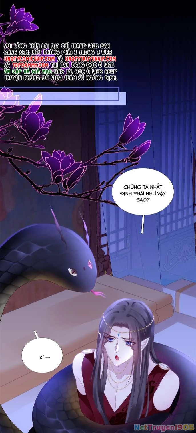 Hắc Hóa Đại Lão Thuần Dưỡng Chỉ Nam Chapter  95 - 3