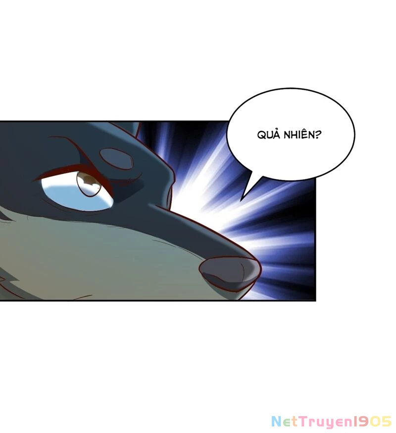 Nguyên Lai Ta Là Tu Tiên Đại Lão Chapter 488 - 18